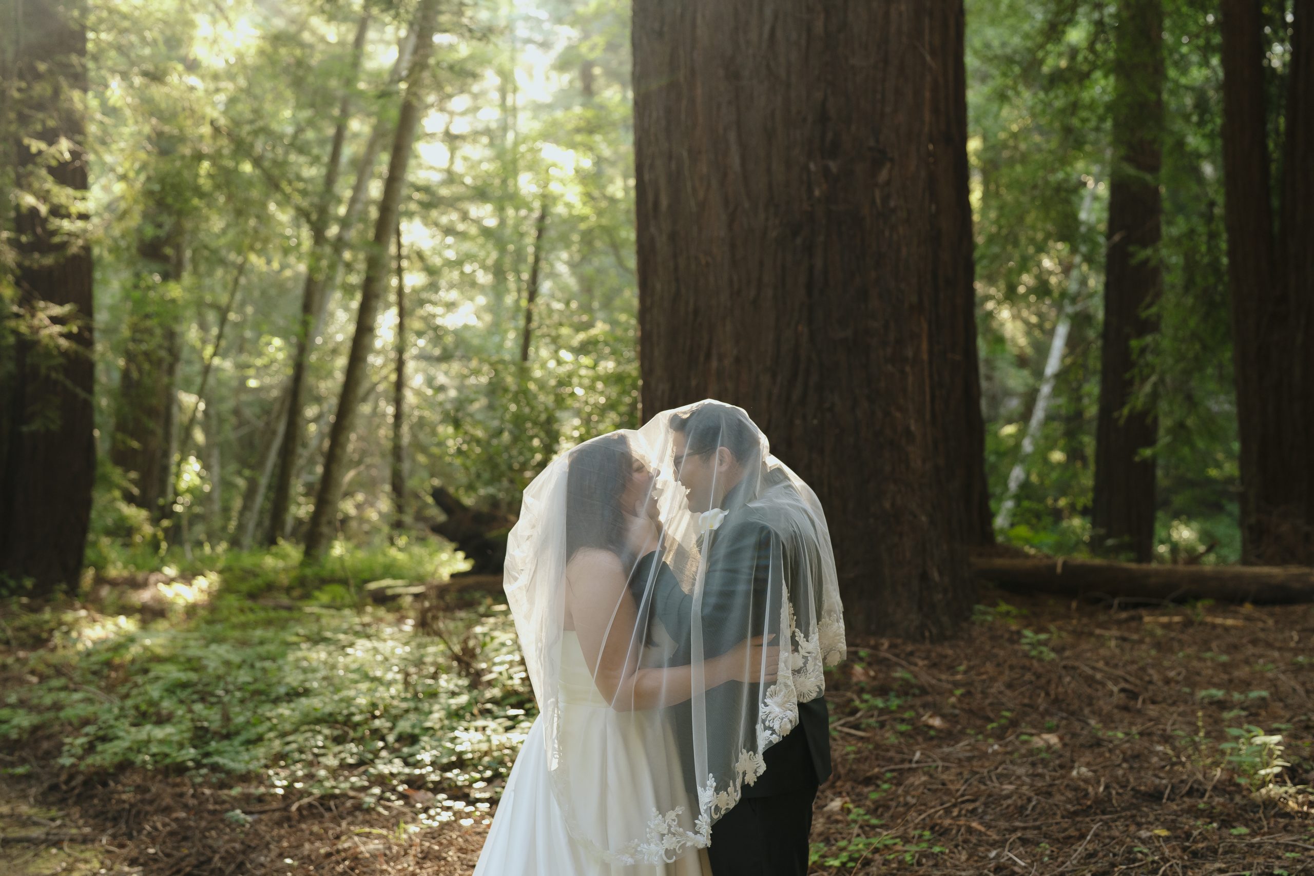 How to Elope in California | Outdoor Forest Elopement | California Elopement Packages