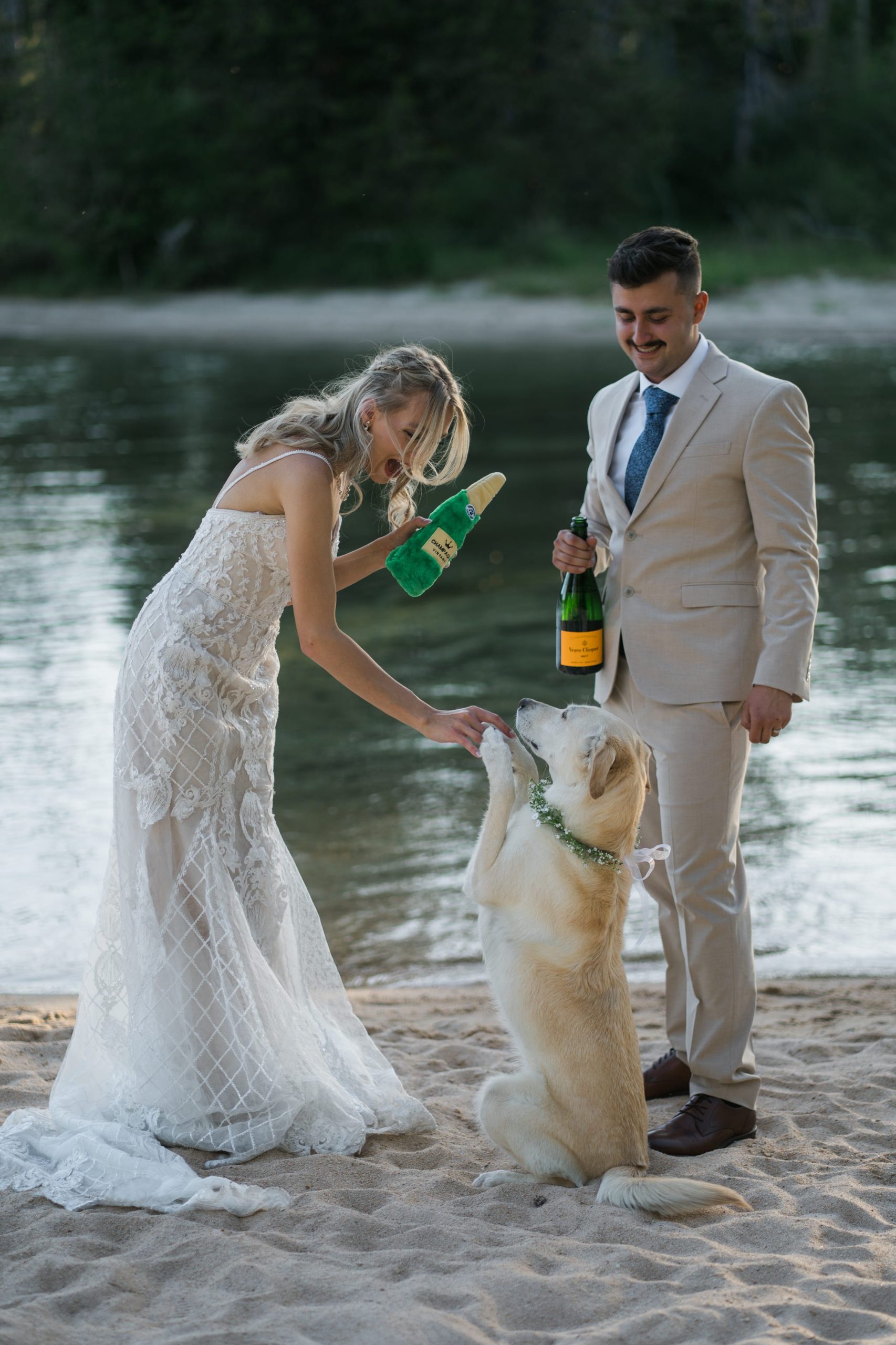 Bride in a lace elopement dress and groom in a light tan suit share a playful moment with their dog on a sandy riverbank in Colorado, holding champagne as the dog offers a paw during their riverside elopement ceremony.